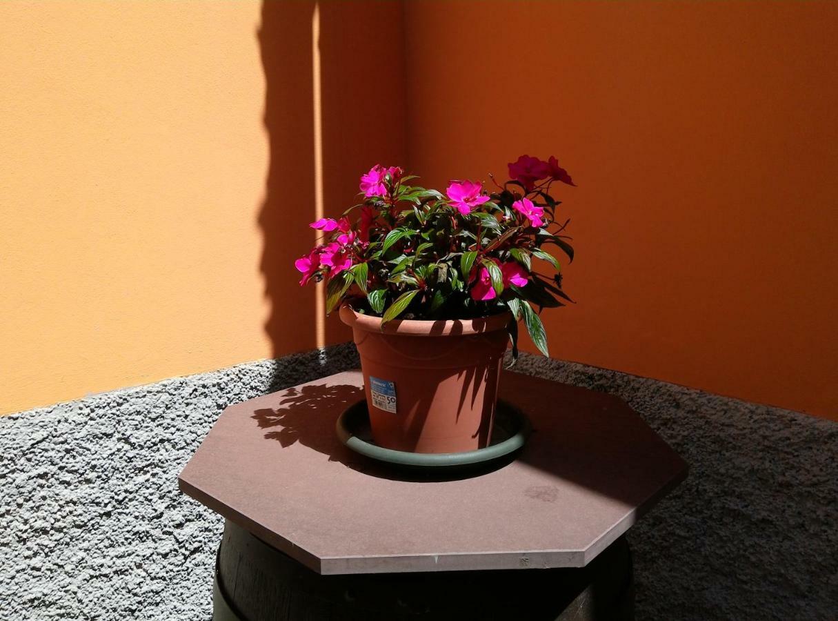 Casavacanzaicolli Villa Pescantina Buitenkant foto
